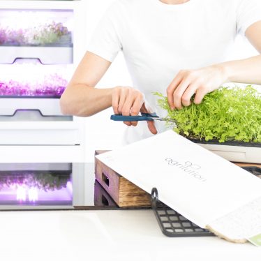 Smart Gardening pentru casa ta